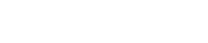 Fluz x Chicago Seminars