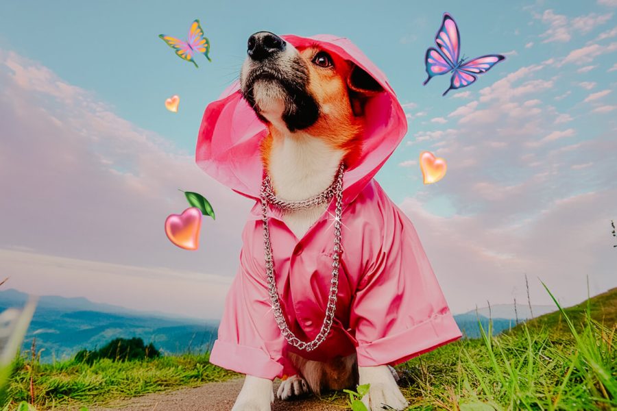 Petco