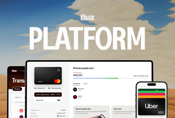 Fluz Platform