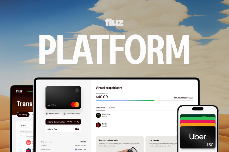 Fluz Platform